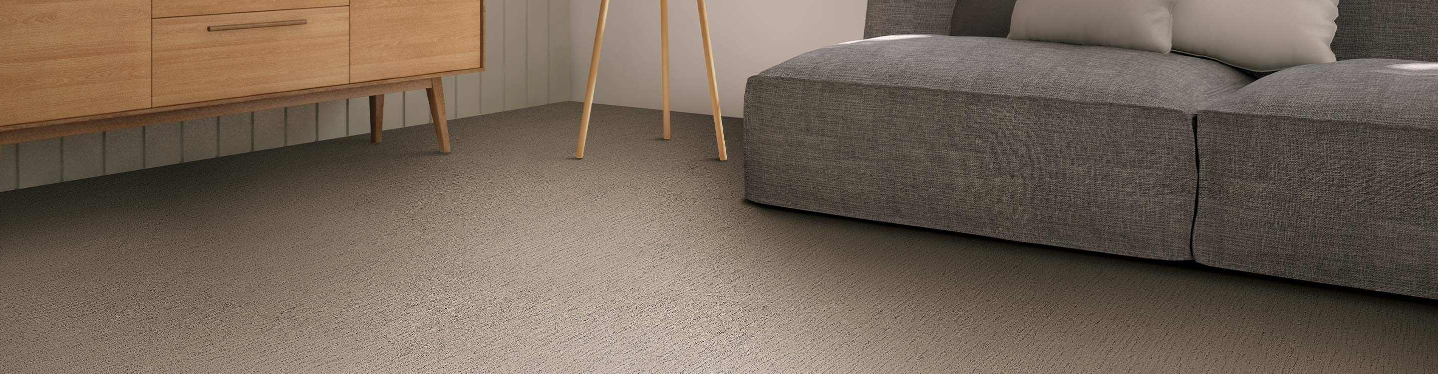light colored carpet in living room area